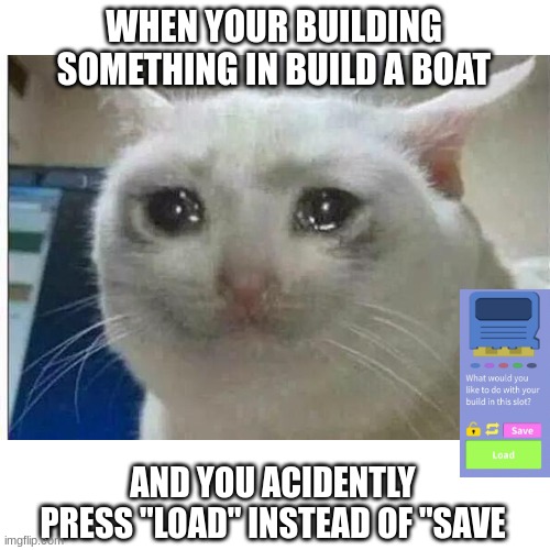 Only build a boat players will understand :( | WHEN YOUR BUILDING SOMETHING IN BUILD A BOAT; AND YOU ACIDENTLY PRESS "LOAD" INSTEAD OF "SAVE | image tagged in memes,crying cat,boat | made w/ Imgflip meme maker