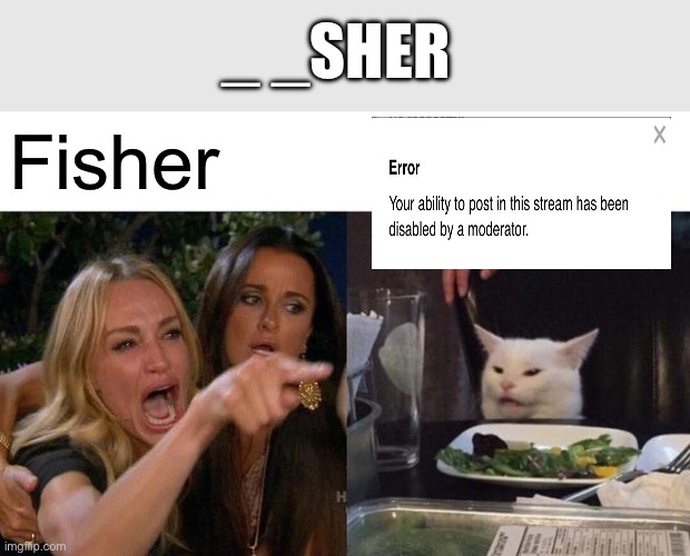 Woman Yelling At Cat | _ _SHER; Fisher | image tagged in memes,woman yelling at cat | made w/ Imgflip meme maker