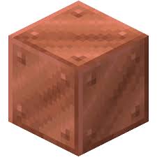 High Quality Minecraft Copper Block Blank Meme Template