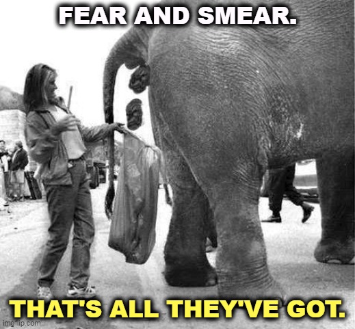 FEAR AND SMEAR. THAT'S ALL THEY'VE GOT. | image tagged in republican,propaganda,fear,smear,lies,insults | made w/ Imgflip meme maker