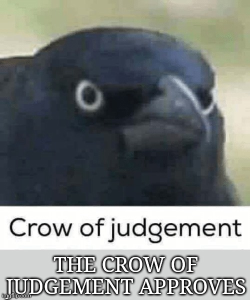Crow of judgement | THE CROW OF JUDGEMENT APPROVES | image tagged in crow of judgement | made w/ Imgflip meme maker
