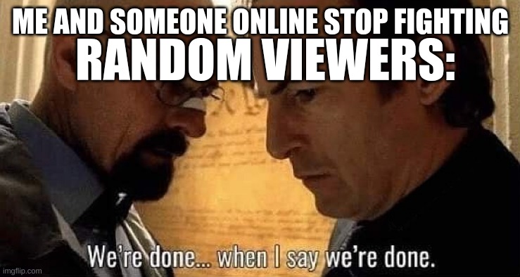 We're done when I say we're done | ME AND SOMEONE ONLINE STOP FIGHTING; RANDOM VIEWERS: | image tagged in we're done when i say we're done | made w/ Imgflip meme maker