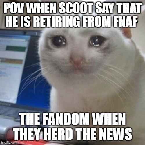 Crying cat | POV WHEN SCOOT SAY THAT HE IS RETIRING FROM FNAF; THE FANDOM WHEN THEY HERD THE NEWS | image tagged in crying cat | made w/ Imgflip meme maker