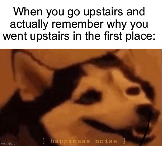 Yeah, does anybody else relate to this? | When you go upstairs and actually remember why you went upstairs in the first place: | image tagged in happiness noise,memes,funny memes,relatable memes | made w/ Imgflip meme maker