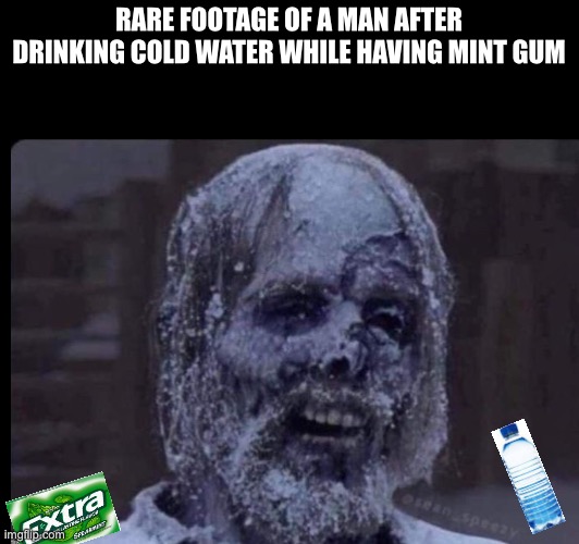 So true | RARE FOOTAGE OF A MAN AFTER DRINKING COLD WATER WHILE HAVING MINT GUM | image tagged in frozen | made w/ Imgflip meme maker