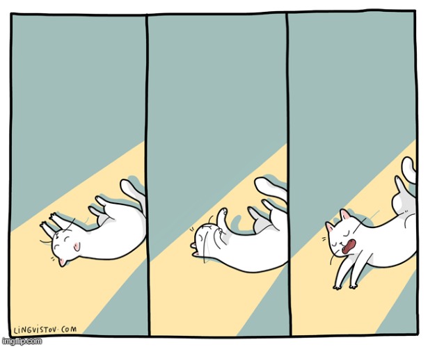 A Cat's Way Of Thinking | image tagged in memes,comics/cartoons,cats,sleeping,sunlight,perfection | made w/ Imgflip meme maker