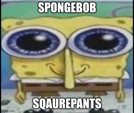 Sponge | SPONGEBOB; SQAUREPANTS | image tagged in memes | made w/ Imgflip meme maker