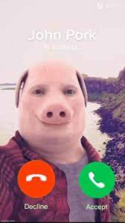 John pork is calling you | image tagged in john pork | made w/ Imgflip meme maker