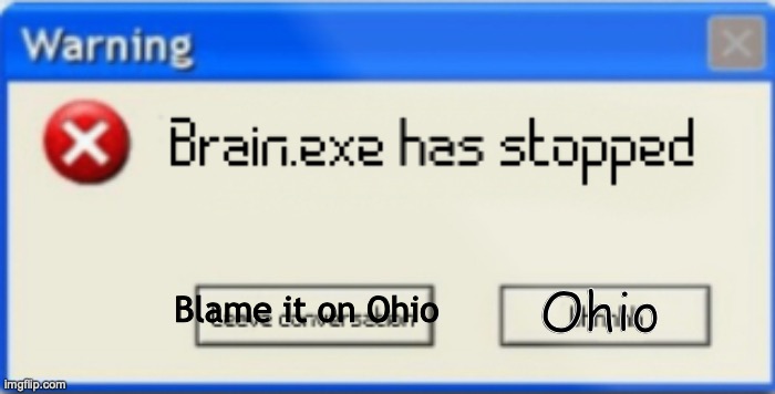 DAMAGE | Ohio; Blame it on Ohio | image tagged in brain exe has stopped | made w/ Imgflip meme maker