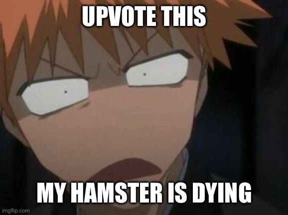 We’ll see what you do idc tbh | UPVOTE THIS; MY HAMSTER IS DYING | image tagged in ichigo what the f k face | made w/ Imgflip meme maker