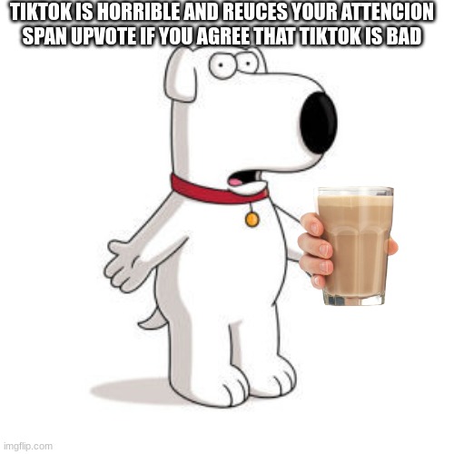 Family Guy Brian Meme | TIKTOK IS HORRIBLE AND REUCES YOUR ATTENCION SPAN UPVOTE IF YOU AGREE THAT TIKTOK IS BAD | image tagged in memes,family guy brian | made w/ Imgflip meme maker