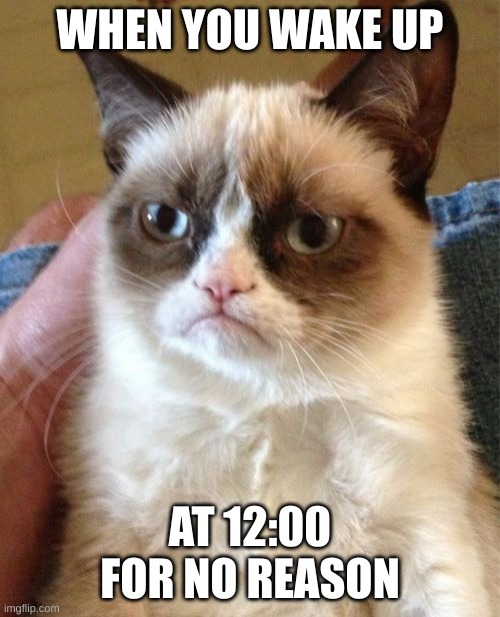 upvote if u can relate | WHEN YOU WAKE UP; AT 12:00 FOR NO REASON | image tagged in memes,grumpy cat | made w/ Imgflip meme maker