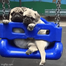 Swinging together - Imgflip