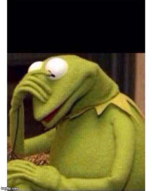 Facepalm frog | image tagged in facepalm frog | made w/ Imgflip meme maker