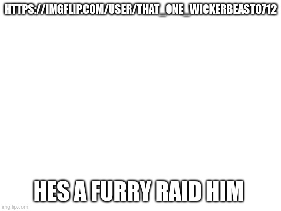 Blank White Template | HTTPS://IMGFLIP.COM/USER/THAT_ONE_WICKERBEAST0712; HES A FURRY RAID HIM | image tagged in blank white template,memes,anti furry | made w/ Imgflip meme maker