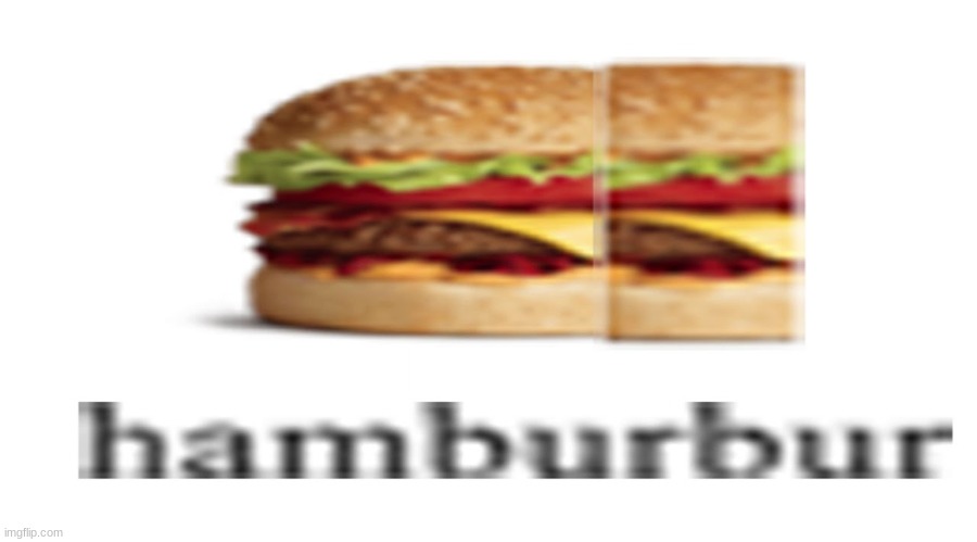 hamburbur | image tagged in hamburbur,hamburbur 2,hamburbur 3 | made w/ Imgflip meme maker