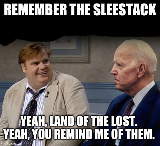 Chris Farley | REMEMBER THE SLEESTACK; YEAH, LAND OF THE LOST. 
YEAH, YOU REMIND ME OF THEM. | image tagged in chris farley | made w/ Imgflip meme maker