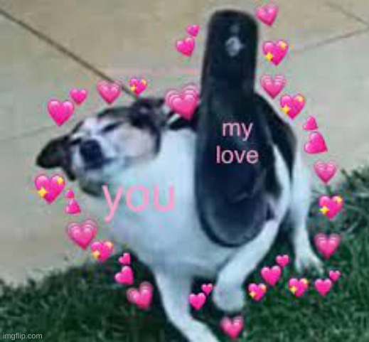 image tagged in wholesome 100 | made w/ Imgflip meme maker