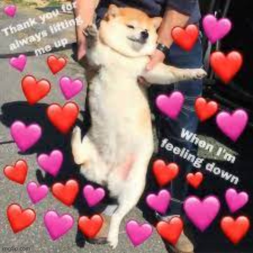 image tagged in wholesome | made w/ Imgflip meme maker