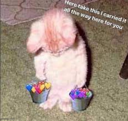 image tagged in wholesome | made w/ Imgflip meme maker