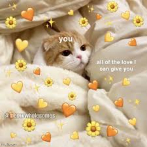 image tagged in wholesome | made w/ Imgflip meme maker