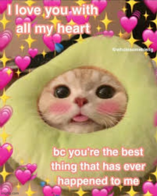 <3333333333 | image tagged in wholesome | made w/ Imgflip meme maker