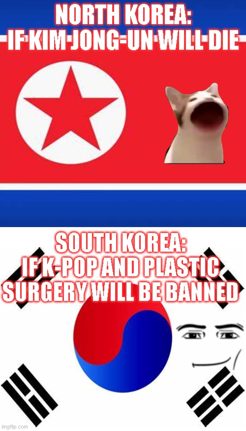 Major Problems of Countries Part 1 | NORTH KOREA:
IF KIM JONG-UN WILL DIE; SOUTH KOREA:
IF K-POP AND PLASTIC SURGERY WILL BE BANNED | image tagged in memes,blank transparent square | made w/ Imgflip meme maker