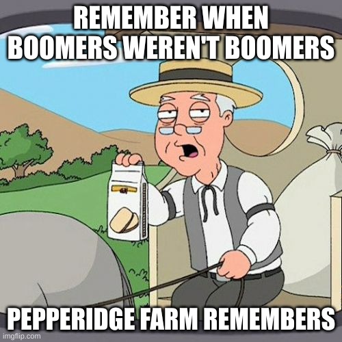 Pepperidge Farm Remembers Meme | REMEMBER WHEN BOOMERS WEREN'T BOOMERS; PEPPERIDGE FARM REMEMBERS | image tagged in memes,pepperidge farm remembers | made w/ Imgflip meme maker