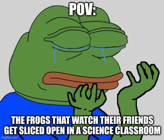 pepe cry | POV:; THE FROGS THAT WATCH THEIR FRIENDS GET SLICED OPEN IN A SCIENCE CLASSROOM | image tagged in pepe cry | made w/ Imgflip meme maker
