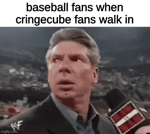 Image Title | baseball fans when cringecube fans walk in | image tagged in when walks in | made w/ Imgflip meme maker