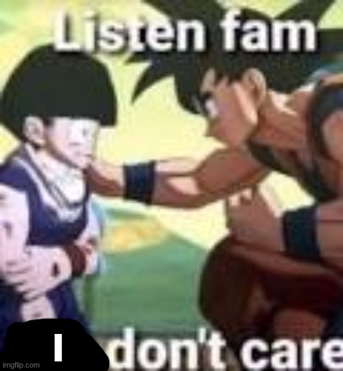 Listen fam we dont care | I | image tagged in listen fam we dont care | made w/ Imgflip meme maker