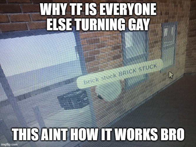 Brick stuck | WHY TF IS EVERYONE ELSE TURNING GAY; THIS AINT HOW IT WORKS BRO | image tagged in brick stuck | made w/ Imgflip meme maker