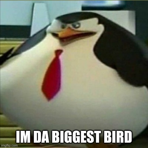 whos da biggest bird | IM DA BIGGEST BIRD | image tagged in fat penguin | made w/ Imgflip meme maker