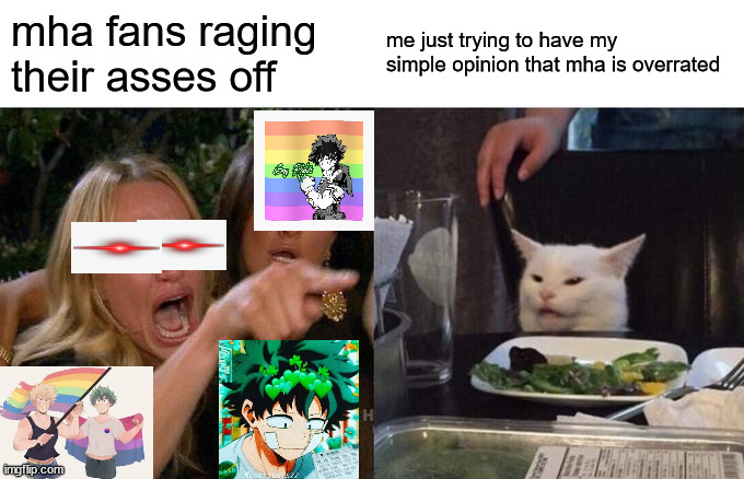 it hurt my mental health getting images for the first part... | mha fans raging their asses off; me just trying to have my simple opinion that mha is overrated | image tagged in memes,woman yelling at cat | made w/ Imgflip meme maker