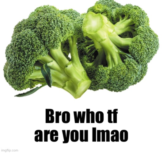 Bro who tf are you lmao | image tagged in bro not cool | made w/ Imgflip meme maker