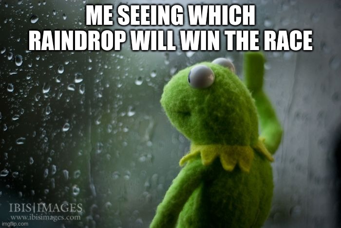kermit window | ME SEEING WHICH RAINDROP WILL WIN THE RACE | image tagged in kermit window | made w/ Imgflip meme maker
