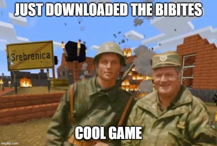 Srebrenica | JUST DOWNLOADED THE BIBITES; COOL GAME | image tagged in srebrenica | made w/ Imgflip meme maker