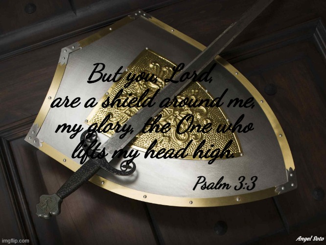 psalm 3:3 the Lord is my shield | But you, Lord, 
are a shield around me,
my glory, the One who
lifts my head high. Psalm 3:3; Angel Soto | image tagged in psalm,shield,praise the lord,head | made w/ Imgflip meme maker