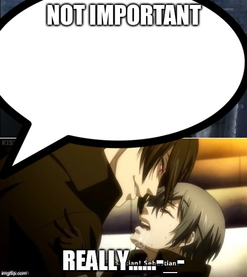 NOT IMPORTANT | made w/ Imgflip meme maker