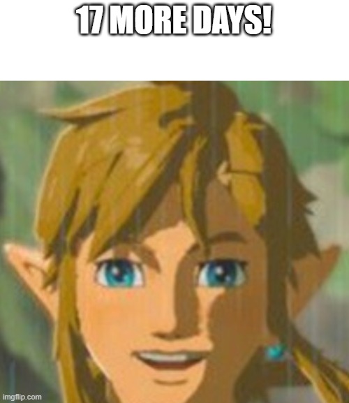 happy link | 17 MORE DAYS! | image tagged in happy link | made w/ Imgflip meme maker