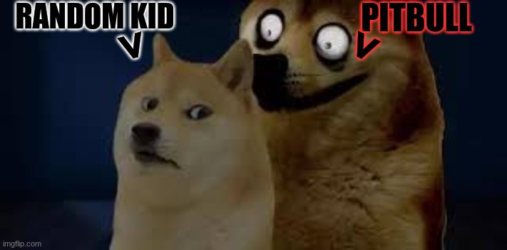 scary | PITBULL; RANDOM KID; <; < | image tagged in calm doge scary doge | made w/ Imgflip meme maker