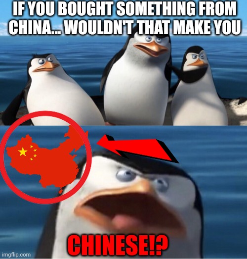 Chinese bullshit that I sometimes think. | IF YOU BOUGHT SOMETHING FROM CHINA... WOULDN'T THAT MAKE YOU; CHINESE!? | image tagged in wouldn't that make you | made w/ Imgflip meme maker