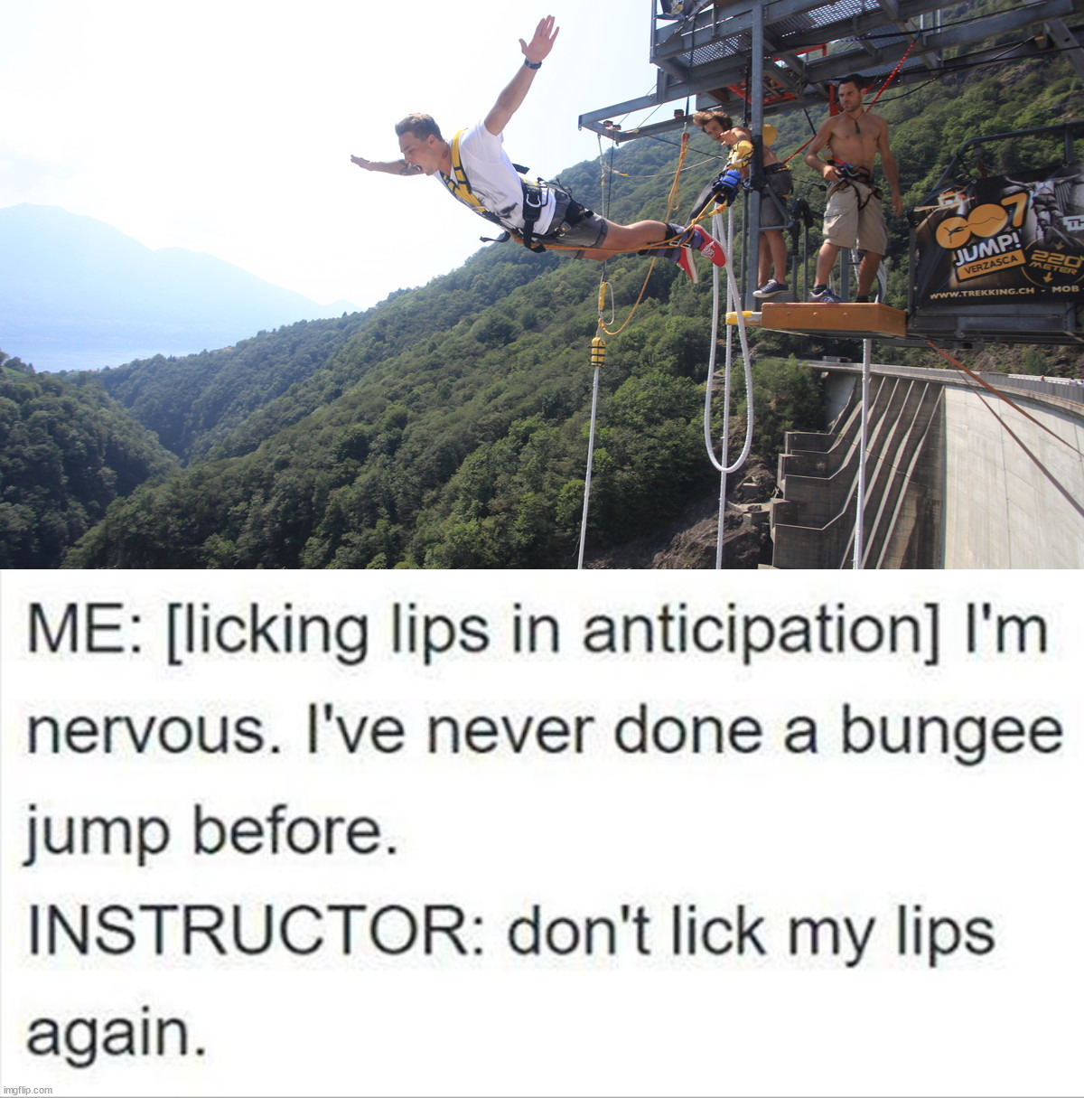 image tagged in bungee jumping | made w/ Imgflip meme maker