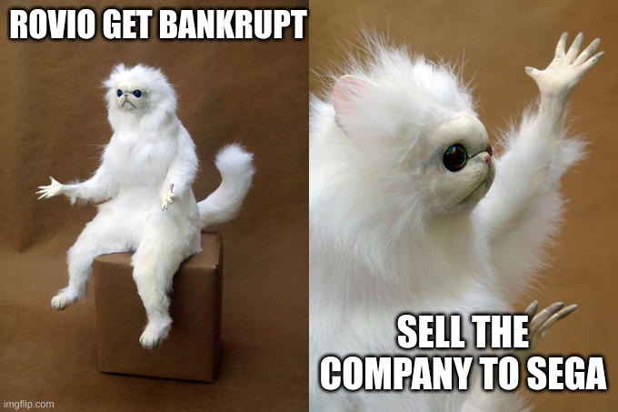 true | ROVIO GET BANKRUPT; SELL THE COMPANY TO SEGA | image tagged in memes,persian cat room guardian | made w/ Imgflip meme maker