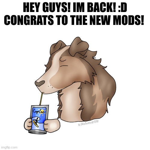 hiya! :) | HEY GUYS! IM BACK! :D CONGRATS TO THE NEW MODS! | image tagged in furry,the furry fandom,im back,ight im back | made w/ Imgflip meme maker