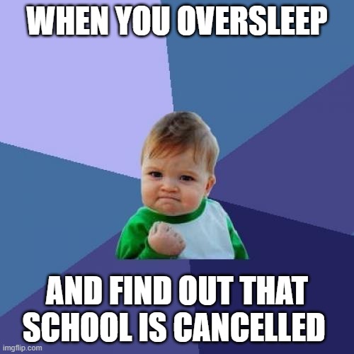 Sometimes oversleeping is good | WHEN YOU OVERSLEEP; AND FIND OUT THAT SCHOOL IS CANCELLED | image tagged in memes,success kid | made w/ Imgflip meme maker