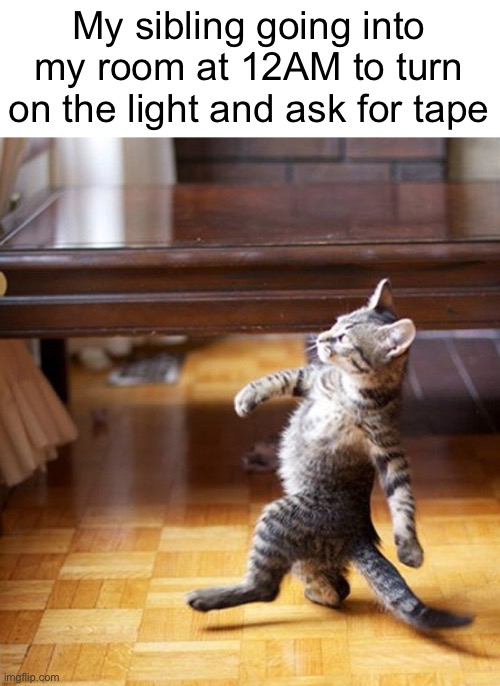 Meme #845 | My sibling going into my room at 12AM to turn on the light and ask for tape | image tagged in cat walking like a boss,siblings,annoying,tape,sleeping,lights | made w/ Imgflip meme maker