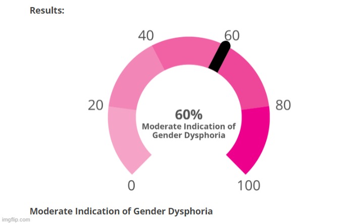 https://www.idrlabs.com/gender-dysphoria/test.php | image tagged in nonbinary,lgbtq,transgender | made w/ Imgflip meme maker