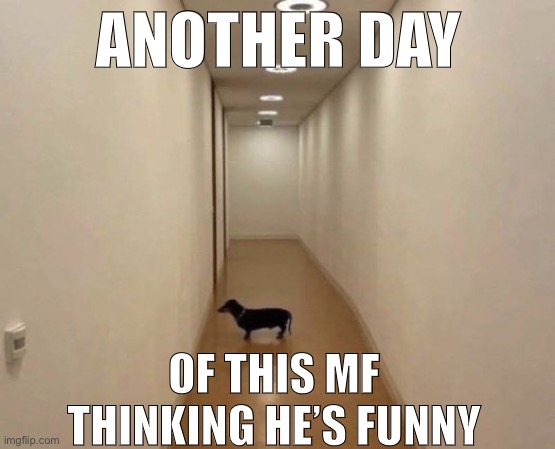 Sad dog | ANOTHER DAY; OF THIS MF THINKING HE’S FUNNY | image tagged in sad dog | made w/ Imgflip meme maker