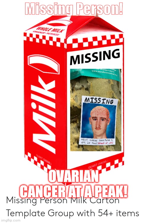 Blank Milk Carton | Missing Person! OVARIAN CANCER AT A PEAK! | image tagged in blank milk carton | made w/ Imgflip meme maker